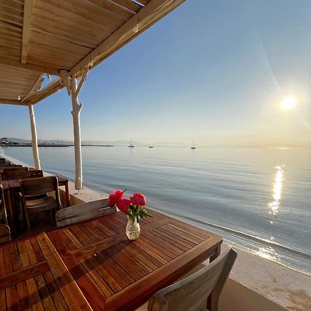 Hotel Lido Beach Hyères المظهر الخارجي الصورة